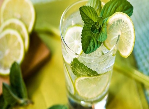 تصویر 5 از قیمت خرید عرق نعناع کاشان + فروش ویژه