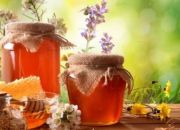 تصویر 1 از عسل گون اصل با قیمت باورنکردنی