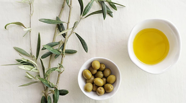 تصویر 2 از قیمت روغن زیتون بی بو + خرید باور نکردنی