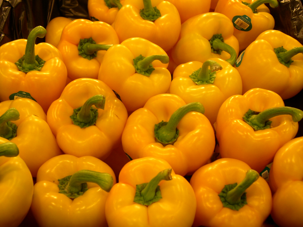 تصویر 3 از قیمت خرید فلفل دلمه ای زرد + فروش ویژه