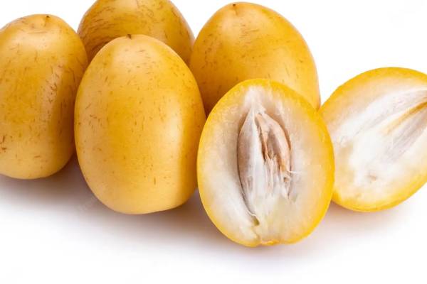 تصویر 5 از قیمت خرید خرما رطب خارک + فروش ویژه