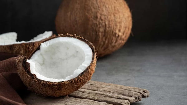تصویر 5 از معرفی نارگیل خشک شده + بهترین قیمت خرید