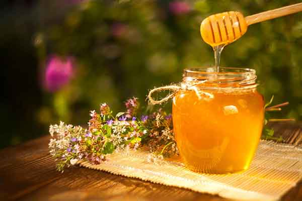تصویر 5 از خرید و فروش عسل آویشن اصل با شرایط فوق العاده