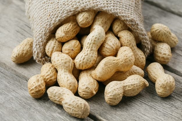 تصویر 1 از خرید بادام زمینی تازه+ فروش ویژه