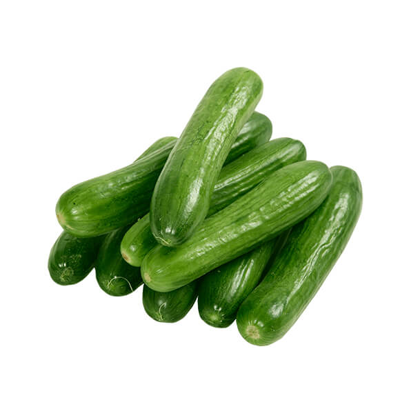 تصویر 4 از خرید خیار سبز درختی+ فروش ویژه