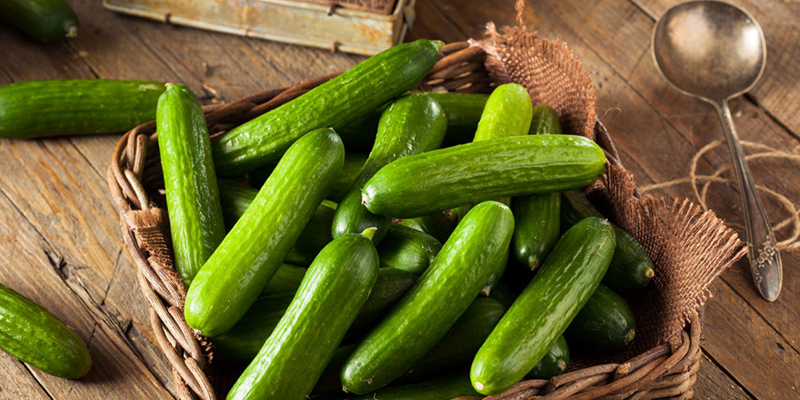 تصویر 3 از خرید خیار سبز درختی+ فروش ویژه