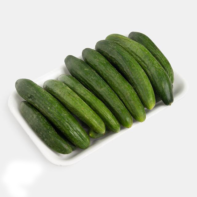 تصویر 4 از فروش خیار سبز محلی + خرید باورنکردنی
