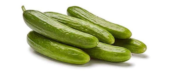 تصویر 3 از فروش خیار سبز محلی + خرید باورنکردنی