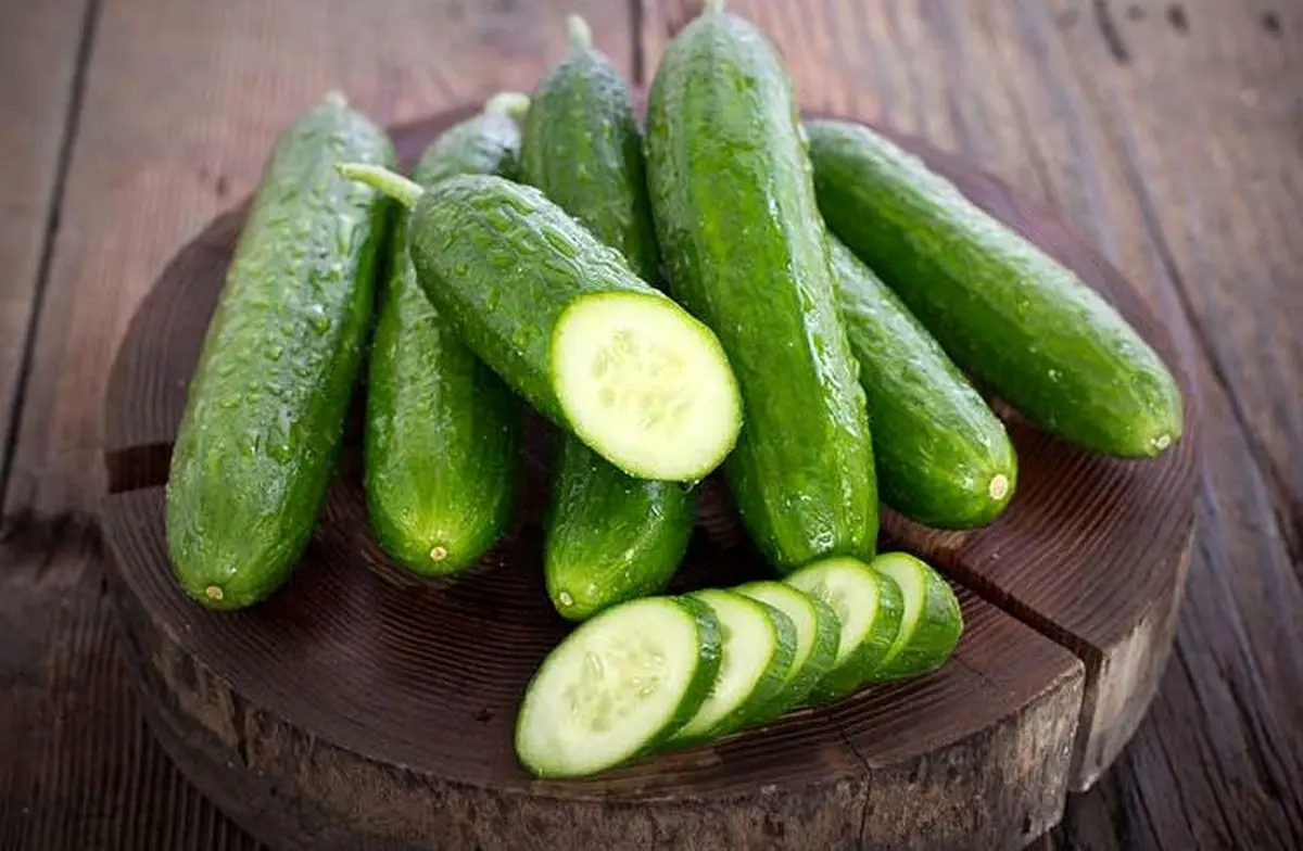 تصویر 2 از خیار سبز قلمی صادراتی با کیفیت+ فروش ویژه