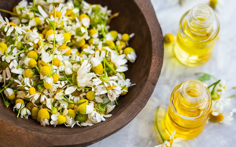تصویر 5 از فروش گیاه دارویی بابونه + قیمت خرید به صرفه