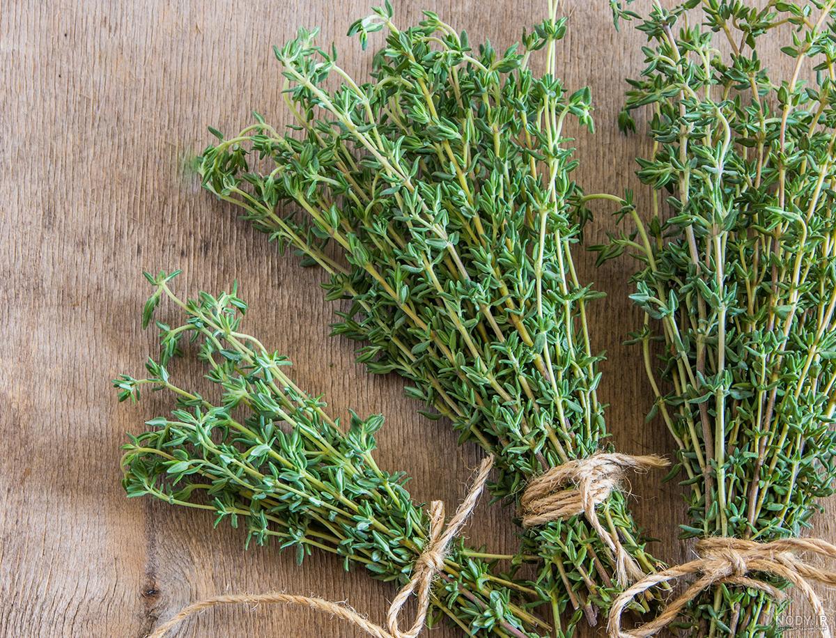 تصویر 4 از قیمت خرید گیاه دارویی آویشن + فروش ویژه