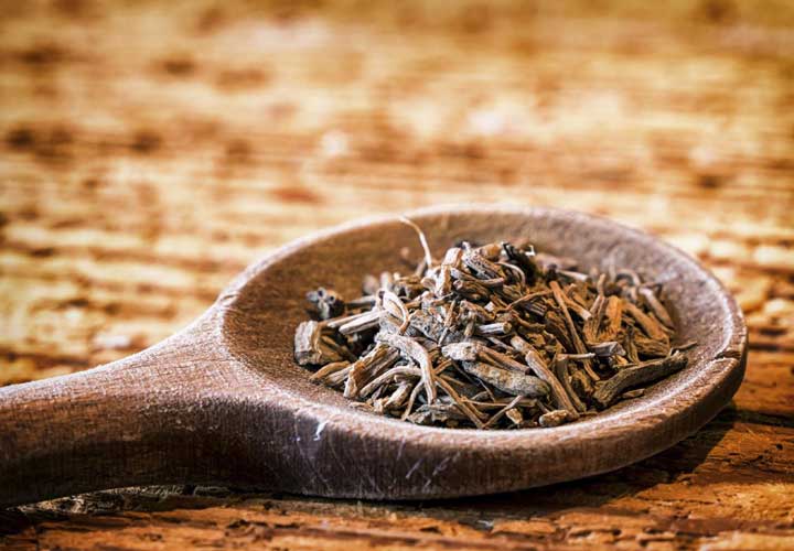 تصویر 2 از قیمت گیاه دارویی سنبل الطیب + خرید باور نکردنی