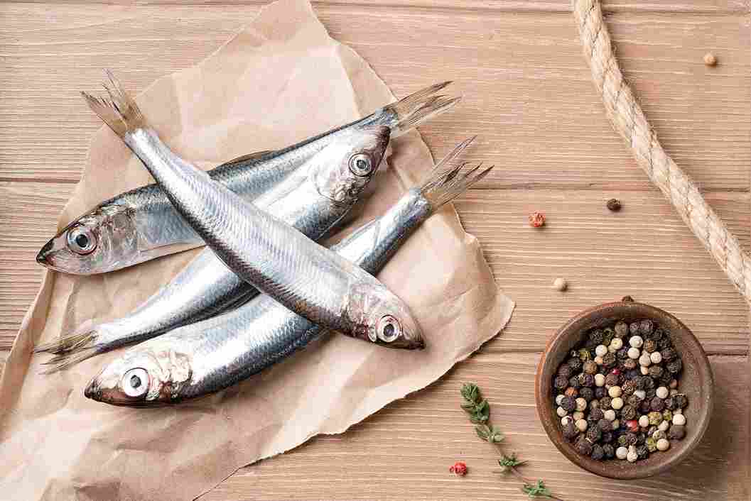 تصویر 1 از قیمت ماهی دولمی جنوب + خرید باور نکردنی