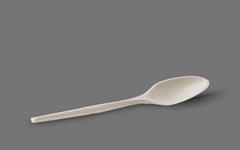 تصویر 2 از خرید قاشق گیاهی یکبار مصرف + قیمت فروش استثنایی