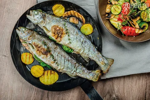 تصویر 5 از خرید و قیمت ماهی یال اسبی + فروش صادراتی