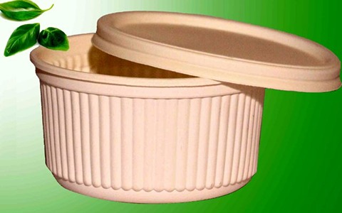 تصویر 4 از فروش ظرف گیاهی نیم کیلویی + قیمت خرید به صرفه