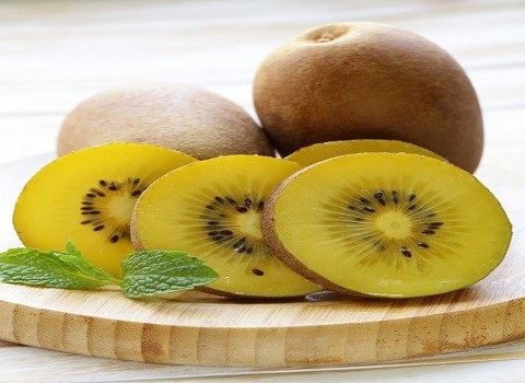 تصویر 5 از خرید و فروش کیوی طلایی رنگ با شرایط فوق العاده