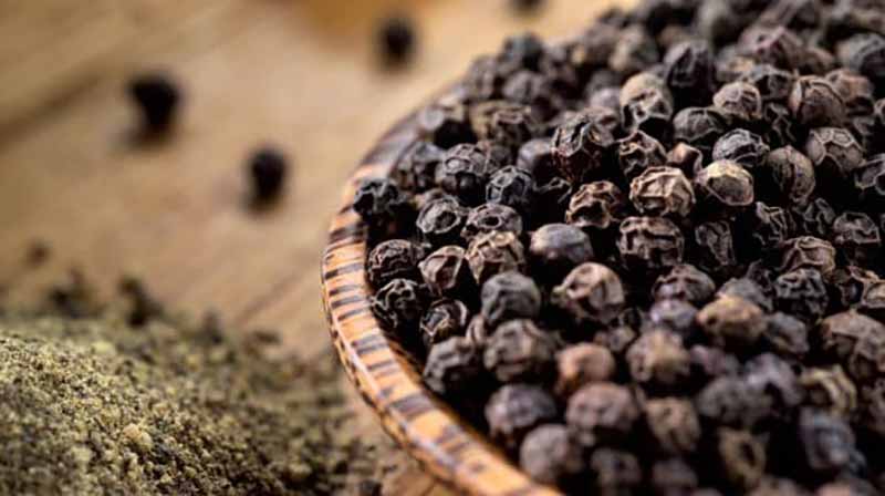 تصویر 5 از فروش فلفل سیاه عمده + قیمت خرید به صرفه