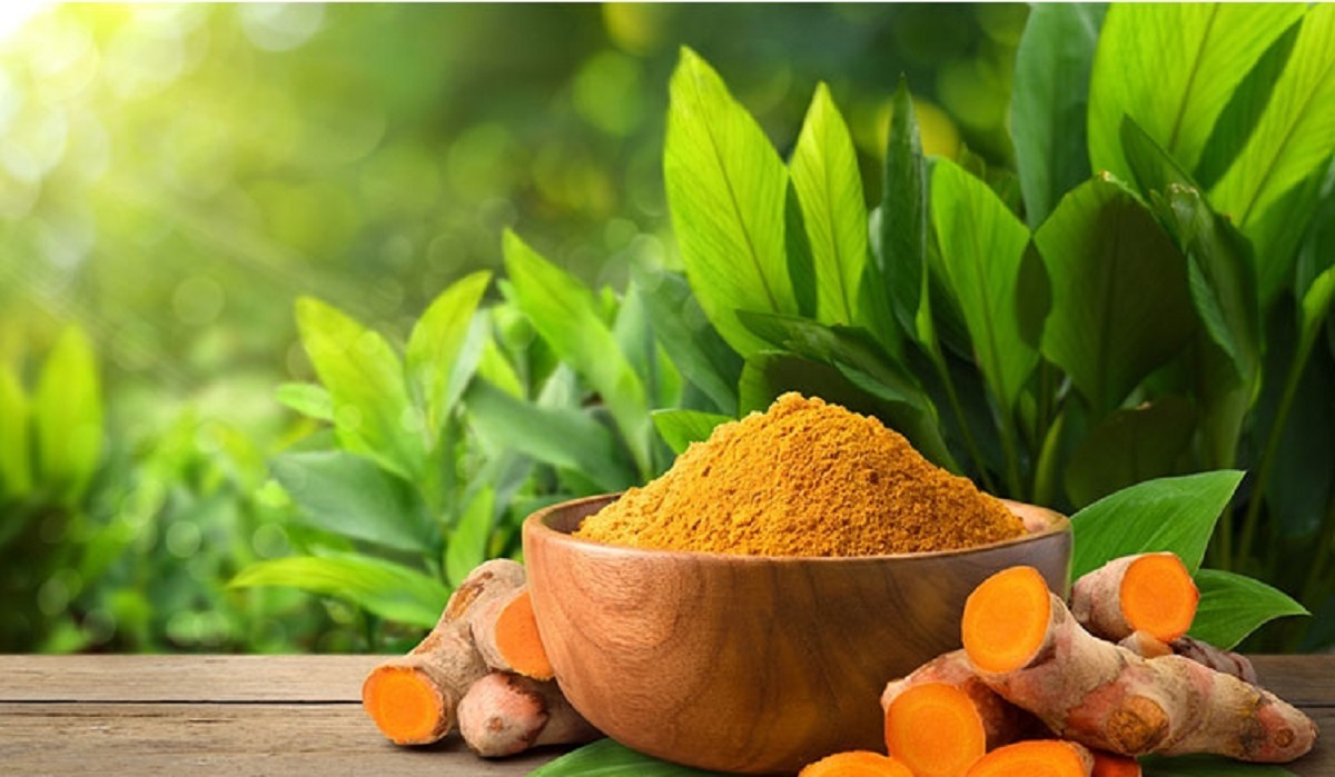 تصویر 5 از فروش پودر زردچوبه گلها + قیمت خرید به صرفه