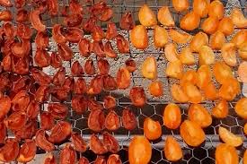 تصویر 5 از خرید و قیمت برگه زردآلو خشک + فروش عمده