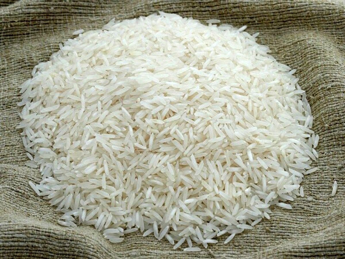 تصویر 3 از قیمت خرید برنج عنبر بو صداقت + فروش ویژه