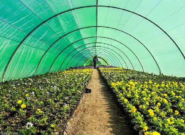 تصویر 1 از قیمت نایلون گلخانه ای سبز + خرید باور نکردنی