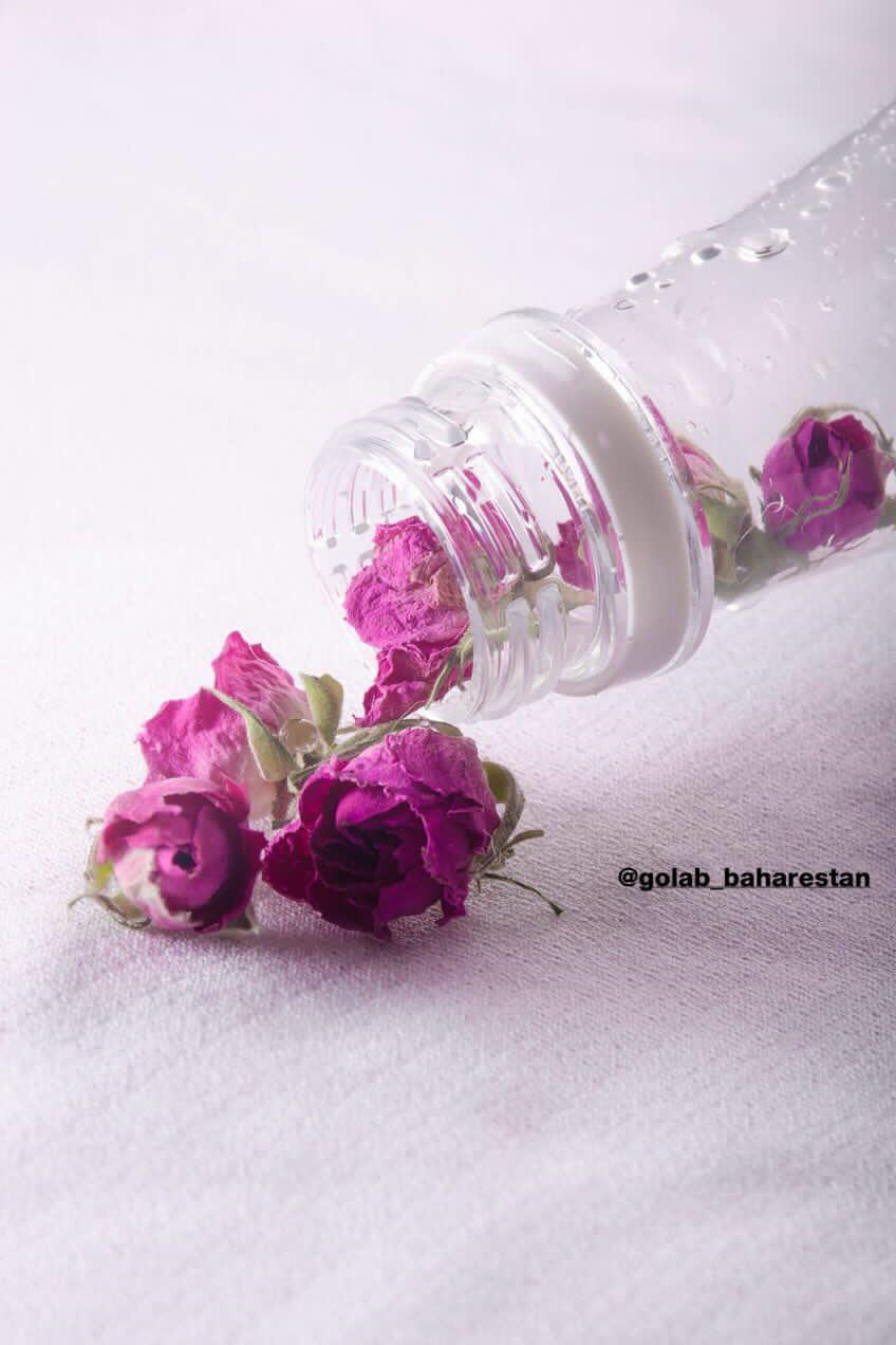 تصویر 4 از قیمت خرید گلاب دو آتیشه عمده به صرفه و ارزان