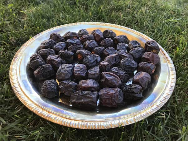 تصویر 1 از قیمت خرمای سیاه مضافتی با فروش ویژه