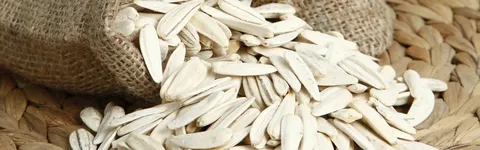 تصویر 4 از قیمت تخمه سفید شمشیری با فروش عمده