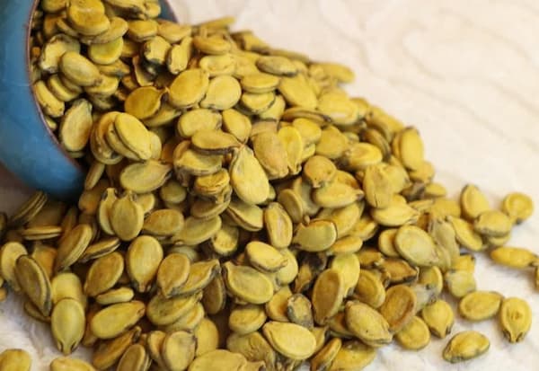 فروش تخمه محبوبی