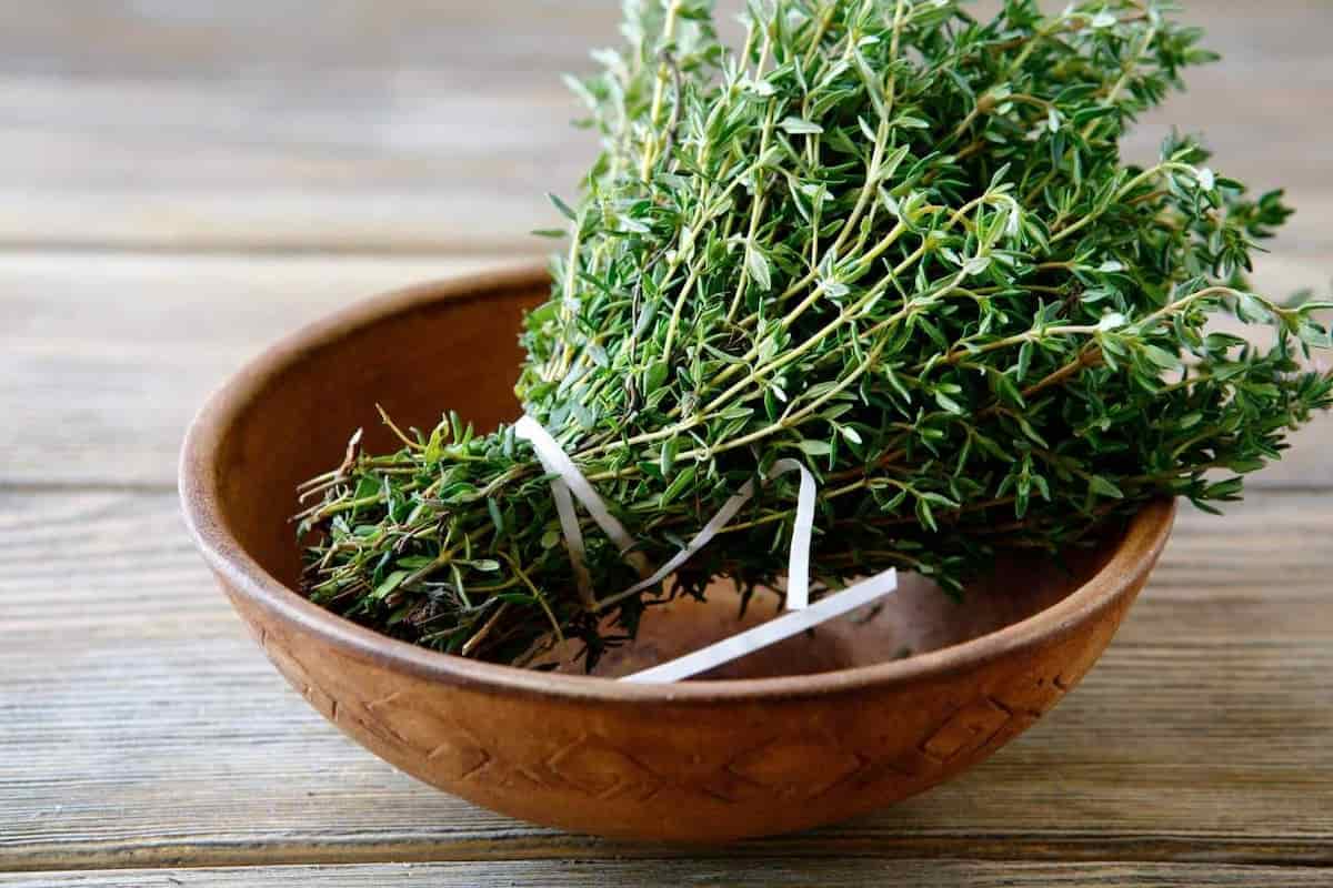تصویر 1 از قیمت خرید آویشن کوهی باریک با فروش عمده