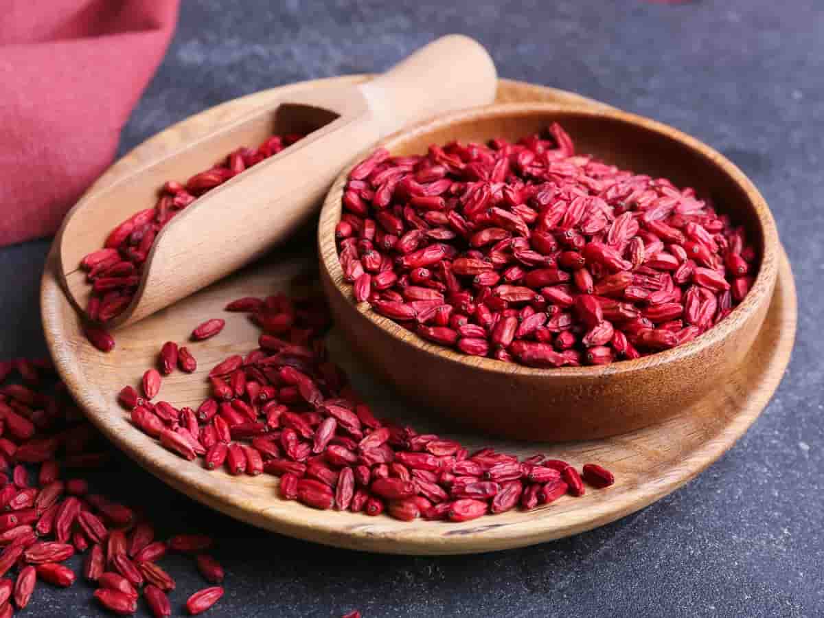 تصویر 4 از فروش زرشک دانه اناری قرمز + قیمت خرید به صرفه