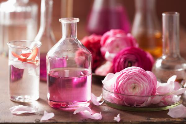 تصویر 1 از فروش گلاب ربیع بزرگ + قیمت خرید به صرفه