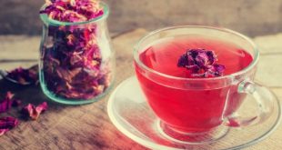 تصویر 3 از فروش گلاب ربیع بزرگ + قیمت خرید به صرفه