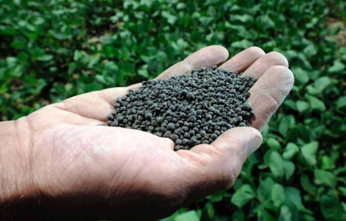 تصویر 4 از خرید کود شیمیایی پتاسیم + قیمت فروش استثنایی
