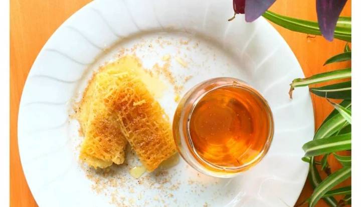 تصویر 5 از قیمت خرید رشته خوشکار شمالی + فروش ویژه