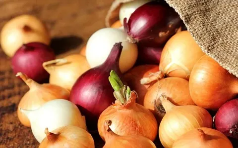 تصویر 1 از خرید و فروش پیاز زرد درشت با شرایط فوق العاده