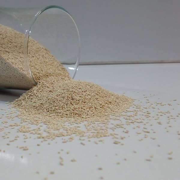 تصویر 4 از قیمت خرید خمیر مایه نانوایی با فروش عمده