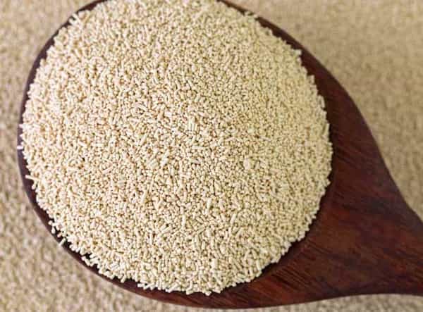 تصویر 5 از قیمت خرید خمیر مایه نانوایی با فروش عمده