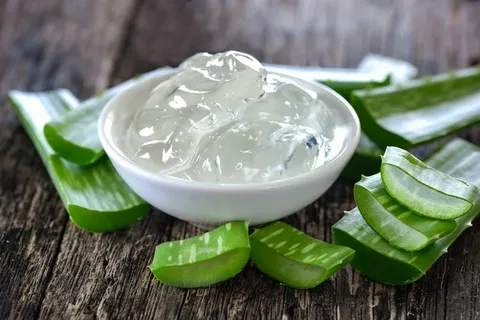 تصویر 5 از قیمت خرید عصاره آلوئه ورا خوراکی با فروش عمده