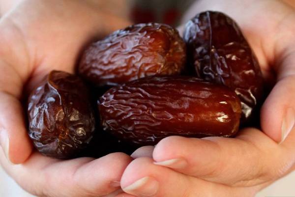 تصویر 3 از فروش خرما برحی سطلی + قیمت خرید به صرفه