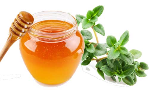 تصویر 1 از قیمت عسل آویشن طبیعی + خرید باور نکردنی
