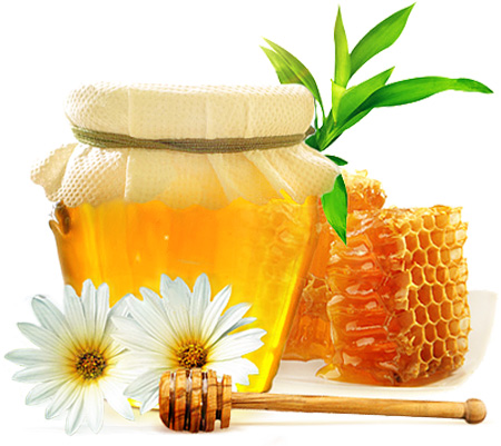 تصویر 4 از خرید عسل گون انگبین طبیعی + قیمت فروش استثنایی
