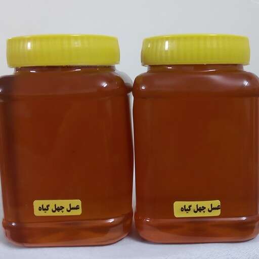 تصویر 3 از قیمت خرید عسل چهل گیاه دشت با فروش عمده