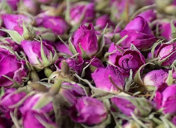 تصویر 3 از قیمت غنچه گل محمدی کیلویی + خرید باور نکردنی