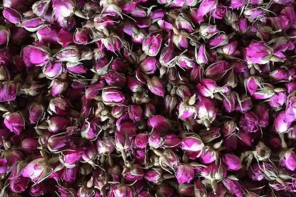 تصویر 1 از قیمت خرید گل محمدی صادراتی با فروش عمده