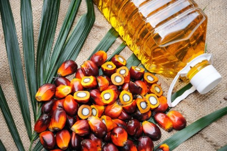 تصویر 4 از قیمت خرید روغن هسته خرما + فروش ویژه