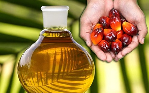 تصویر 5 از قیمت خرید روغن هسته خرما + فروش ویژه