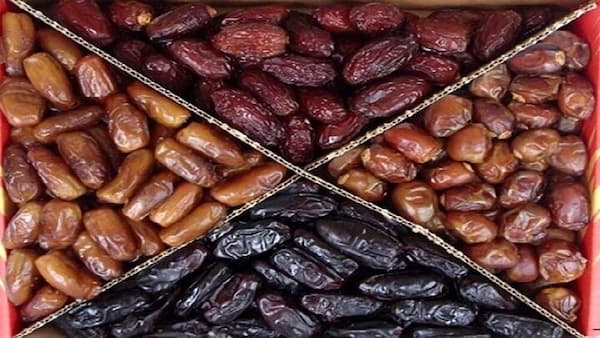تصویر 2 از قیمت خرید خرما کبکاب  + فروش ویژه