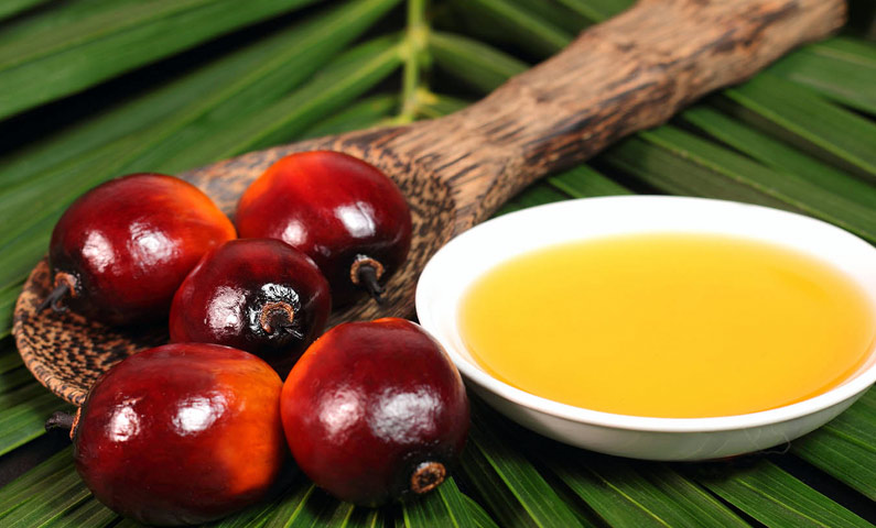 تصویر 5 از خرید و فروش روغن هسته خرما خوراکی با شرایط فوق‌العاده